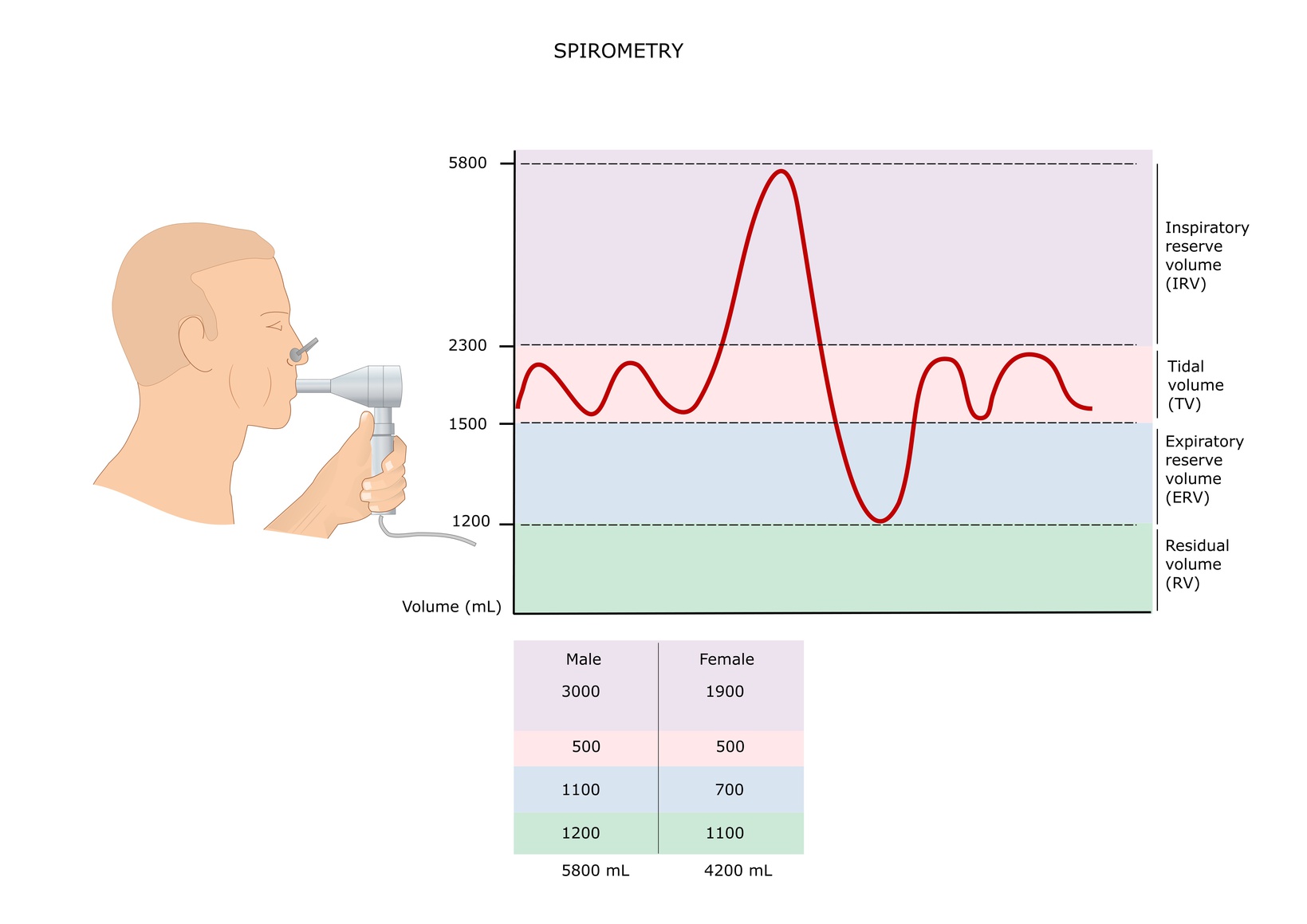 Na Czym Polega Spirometria Aptelinepl