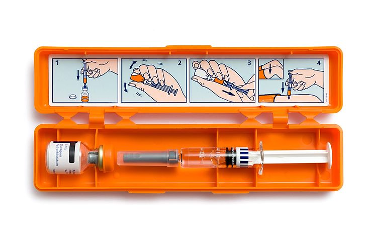 Glukagon Hormon Przeciwstawny Do Insuliny Jak Podać Glukagon