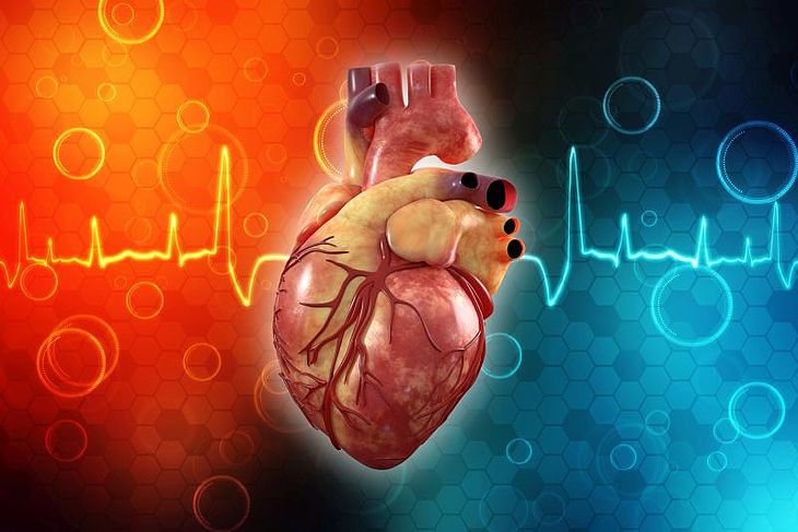 Zapalenie Mięśnia Sercowego Objawy Leczenie Przyczyny Czym Jest